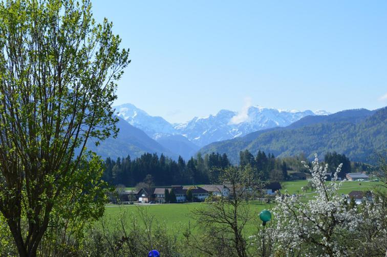 Pension Schindlau Scharnstein Экстерьер фото